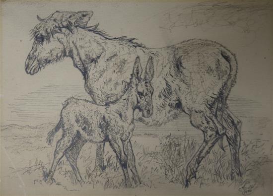 A Victorian pencil study of donkeys, 11 x 15cm